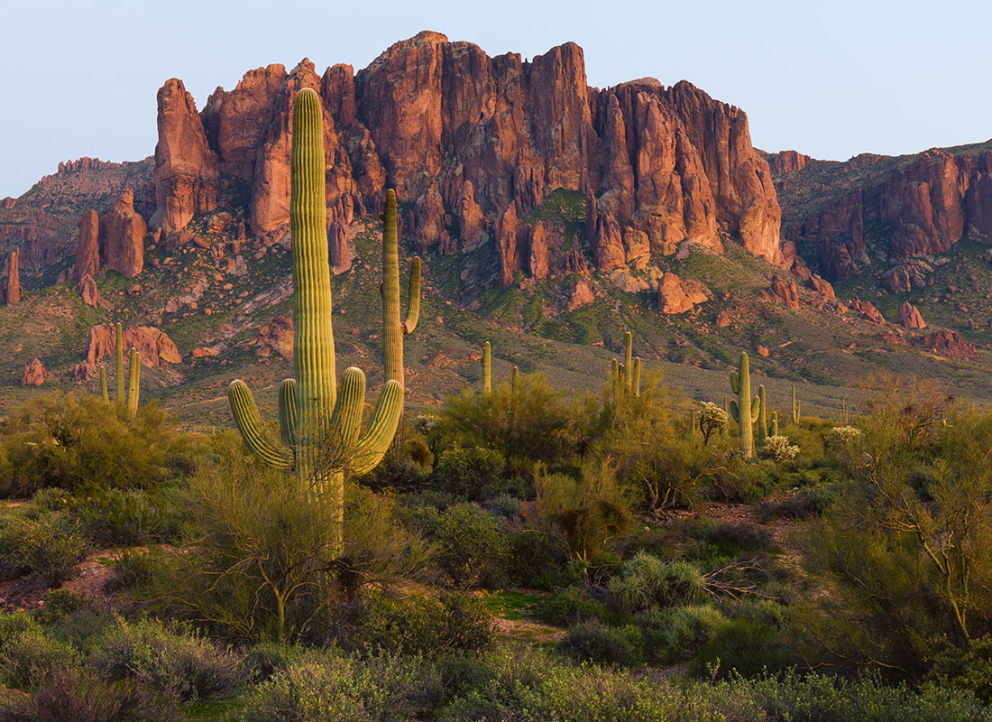 About Our Agency - Scenic Landscape of Cactus Growing in the Desert with Mountains in the Background at Sunset in Arizona
